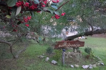  Cabañas Sottobosco